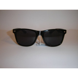 Wayfarer 12